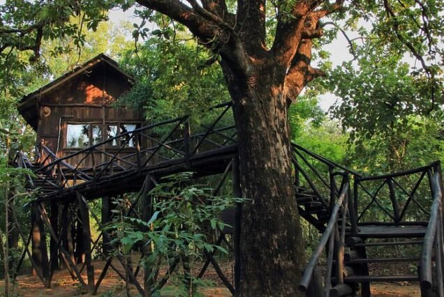 2 Night / 3 Days - Bandhavgarh Tour with Tree House Hideway