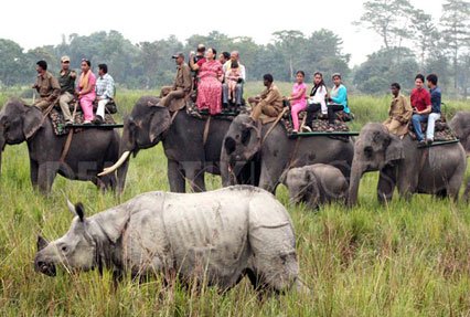 6 Nights / 7 Days - Assam Wildlife Tour